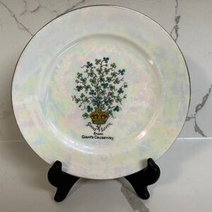 Irish China Good Luck Souvenir Plate from Giants Causeway A & S Arcadian 6.25”